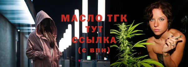дживик Осинники