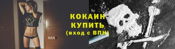 дживик Осинники