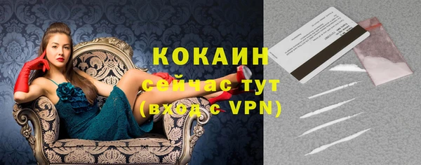 дживик Осинники