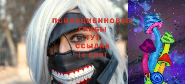 дживик Осинники