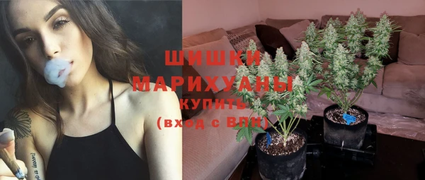 дживик Осинники